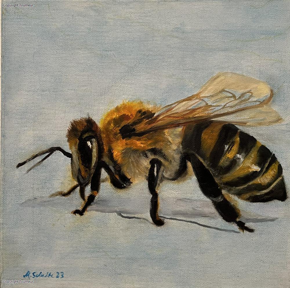 Aktuelle Ausstellung Mechtild Schulte